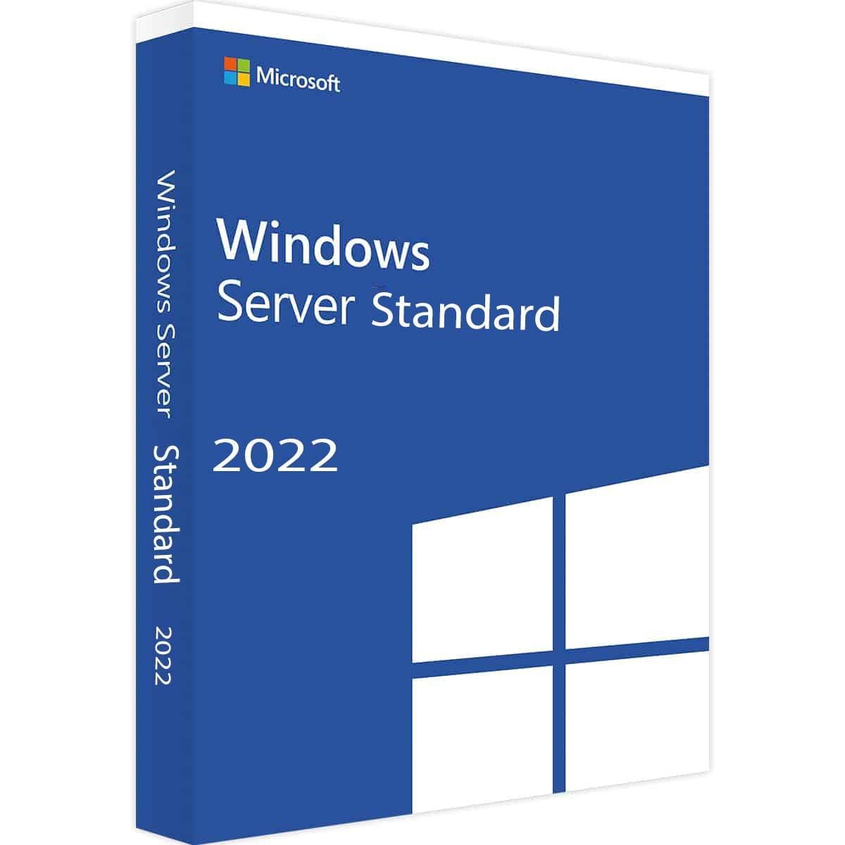 Windows Server 2022 Standard CD Key